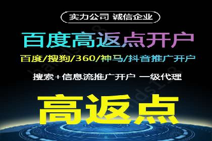 百度SEO推广公司案例分享：行业佼佼者经验
