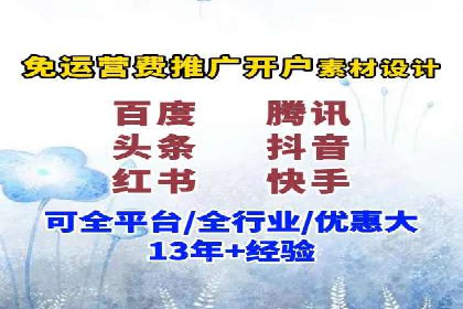 竞价广告在XX行业的成功应用案例
